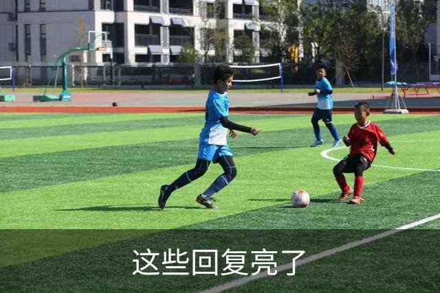 这些回复亮了